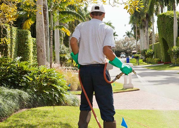 About South Casco ME Pest Control Pros
